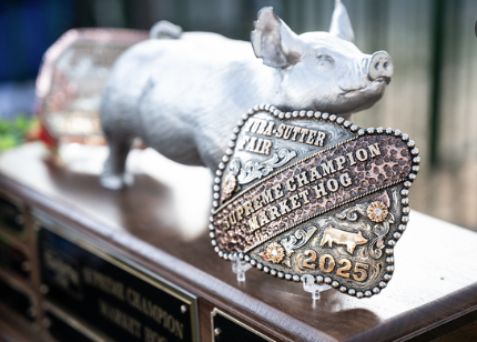 Large Animal Buckle Award Sponsor