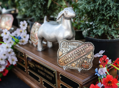 Small Animal Buckle Award Sponsor